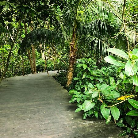 Rayshiva Homestay Ubud Eksteriør billede