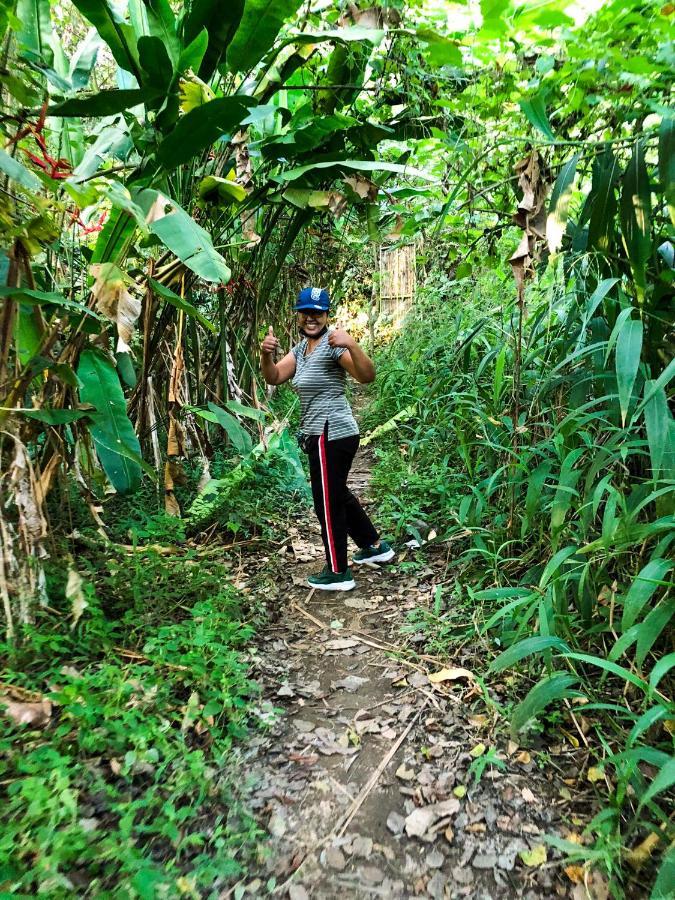Rayshiva Homestay Ubud Eksteriør billede